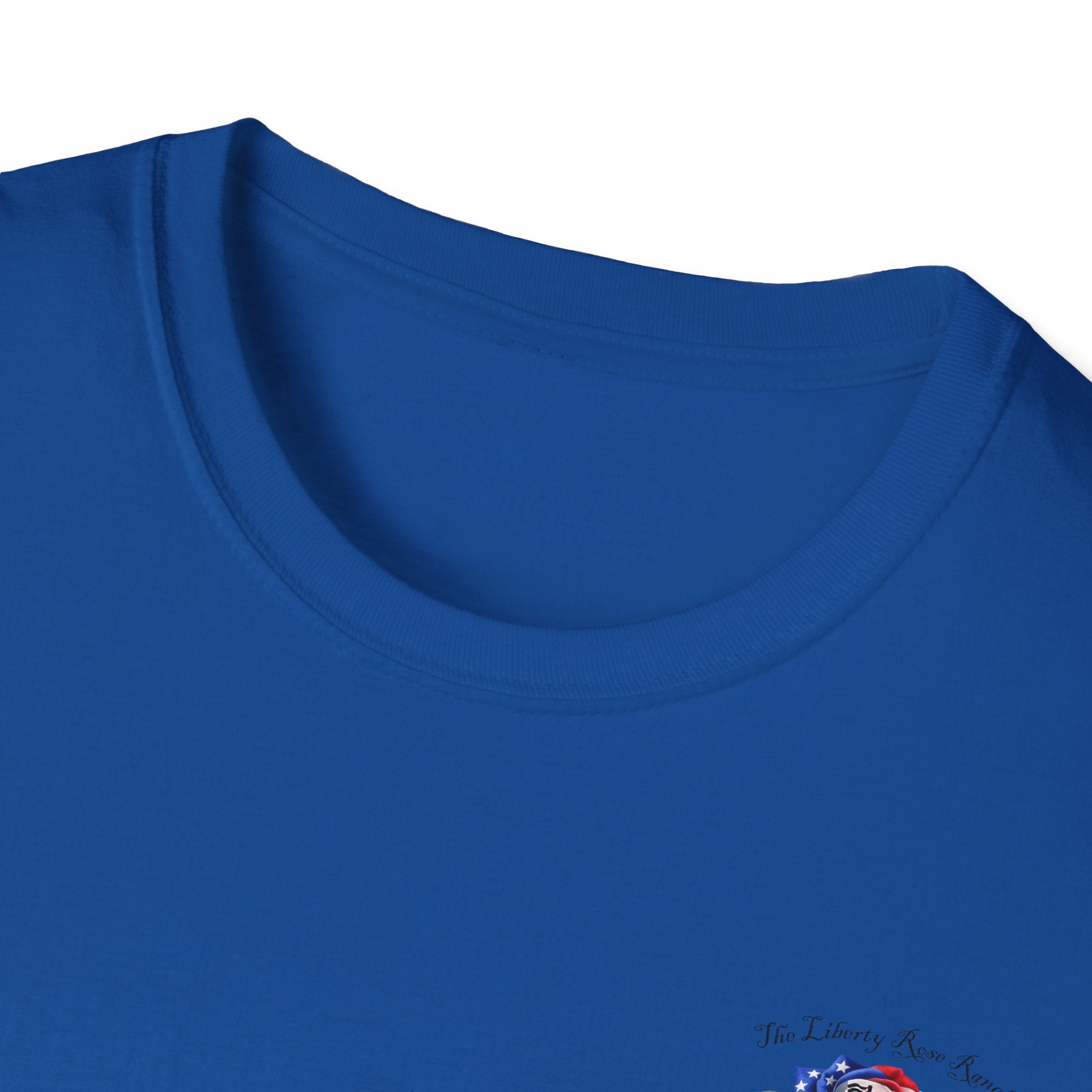 Liberty Rose T-Shirt - Patriotic Vintage Flag & Rose Design, We the People